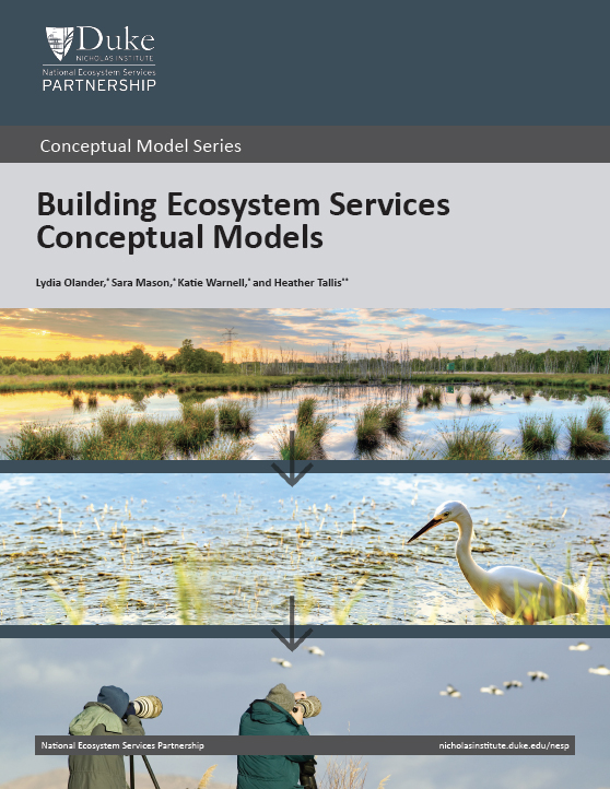 Building Ecosystem Services Conceptual Models