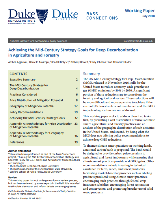 Cover of Achieving the Mid-Century Strategy Goals for Deep Decarbonization in  Agriculture and Forestry