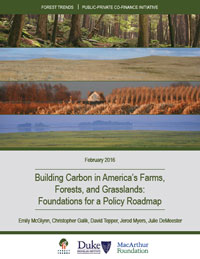 Building Carbon in America’s Farms, Forests, and Grasslands: Foundations for a Policy Roadmap 