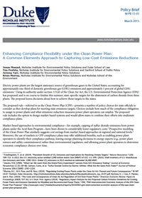 Enhancing Compliance Flexibility under the Clean Power Plan:  A Common Elements Approach to Capturing Low-Cost Emissions Reductions