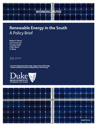 Renewable Energy in the South: A Policy Brief