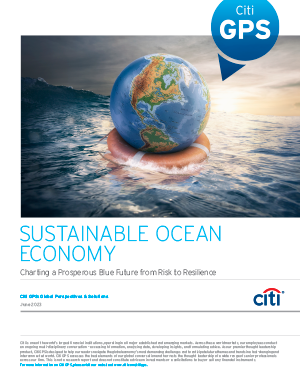 Sustainable Ocean Economy: Charting a Prosperous Blue Future from Risk to Resilience cover