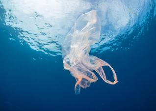 Analysis Takes Stock of Policies to Address Oceanic Plastic Pollution